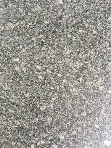福建青粗花-福建省金路达石材厂