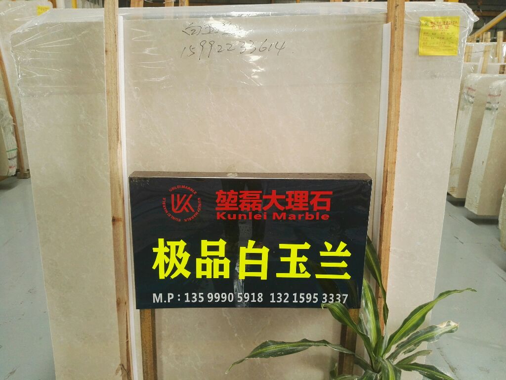 极品白玉兰-厦门新堃磊石业股份有限公司
