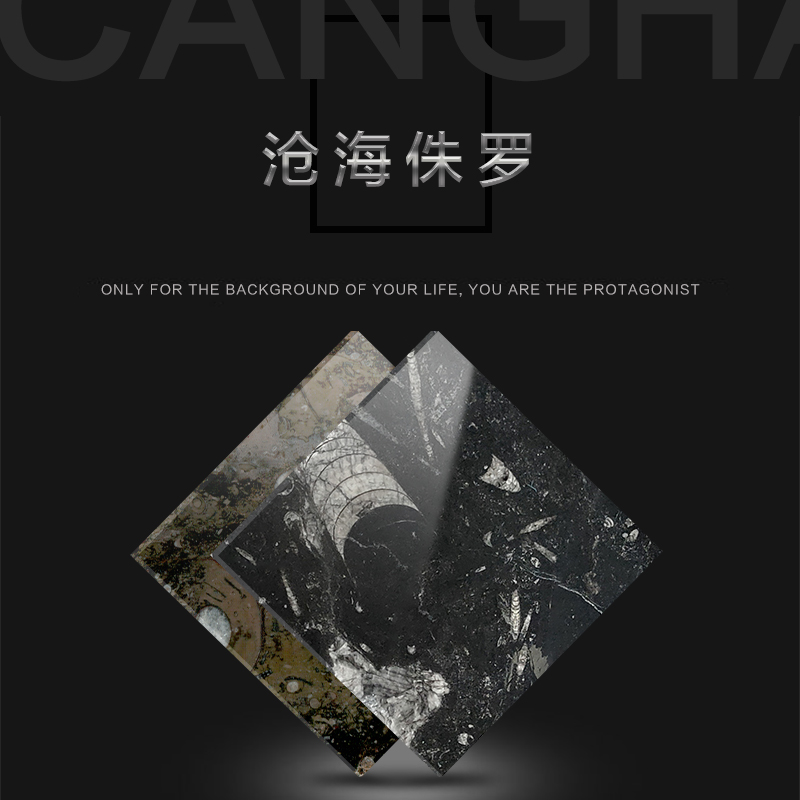 沧海侏罗-盛拓石业