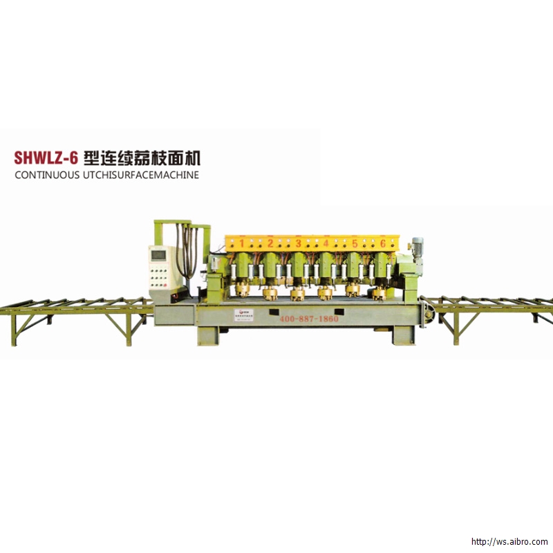 连续荔枝面机-圣宏威机械