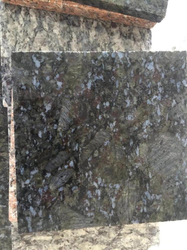 蝴蝶兰-内蒙古和林格尔县宏力星盛石材有限公司