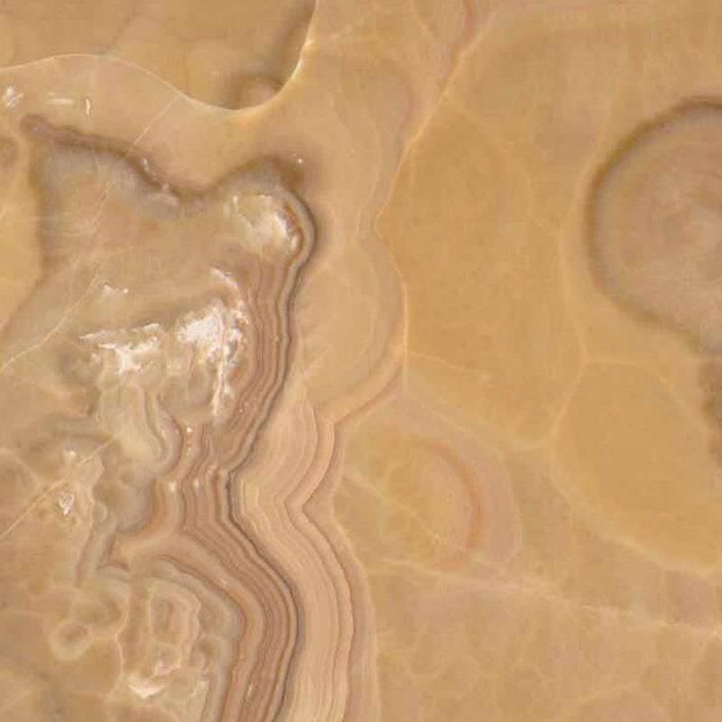 红龙玉-建喬玉品宴