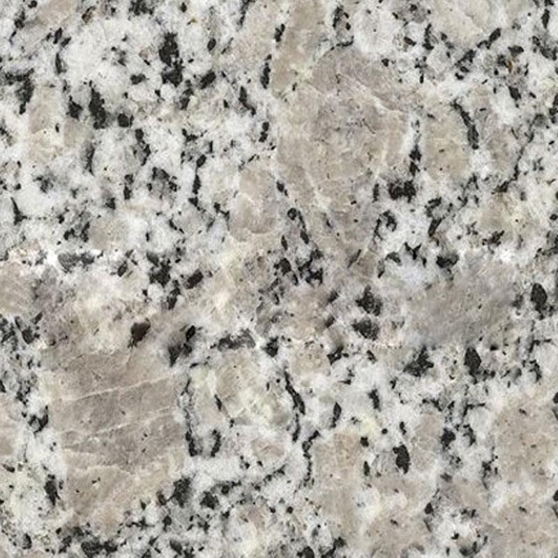 珍珠花-招远三叶商贸有限公司