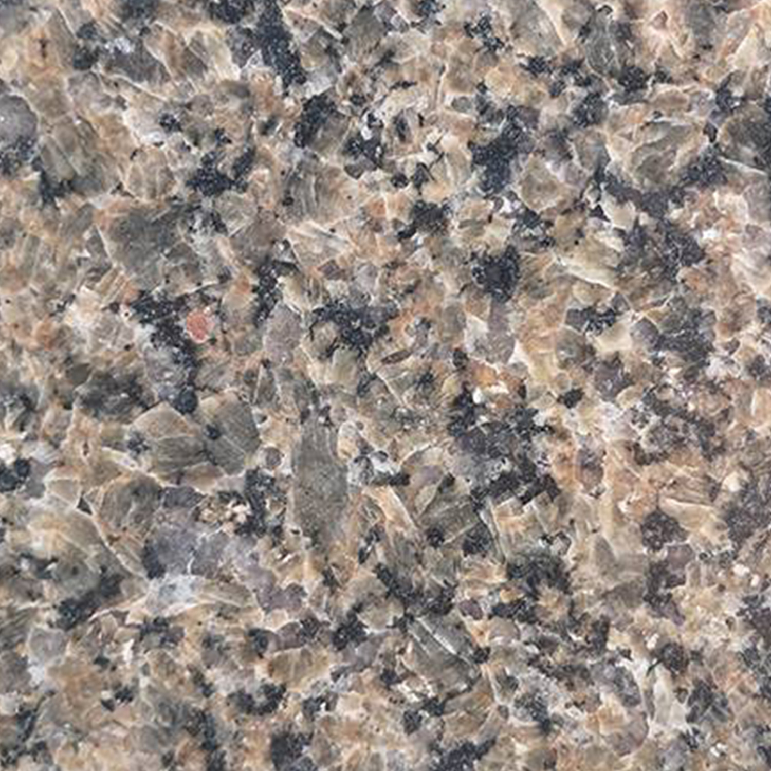 沙特黄金钻-金泰威