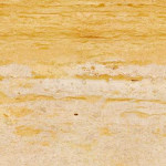 米黄木纹