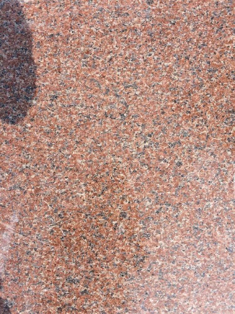 石岛红新八号-福建有为石业