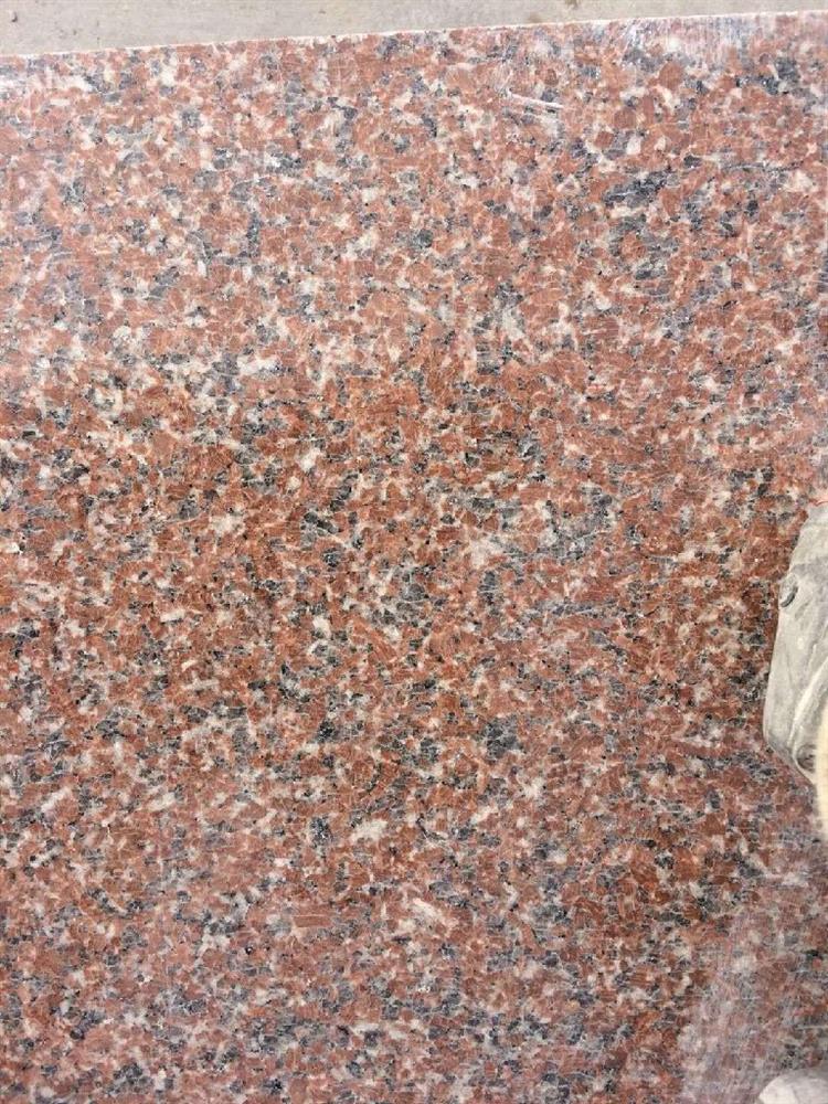 石岛红新八号-福建有为石业