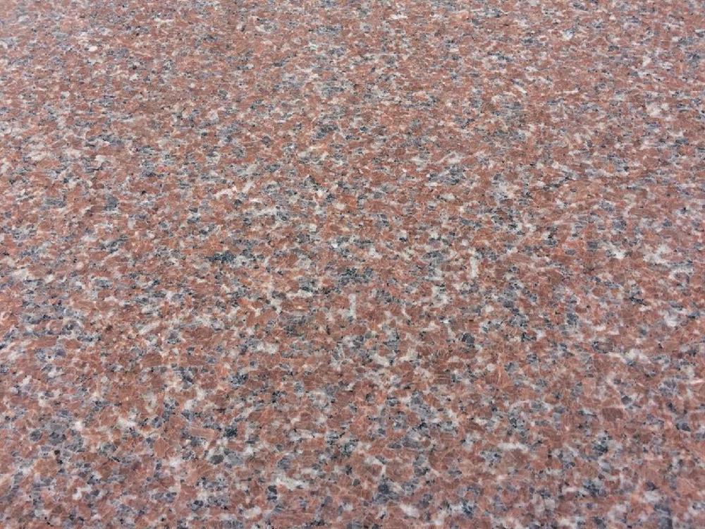 石岛红新八号-福建有为石业