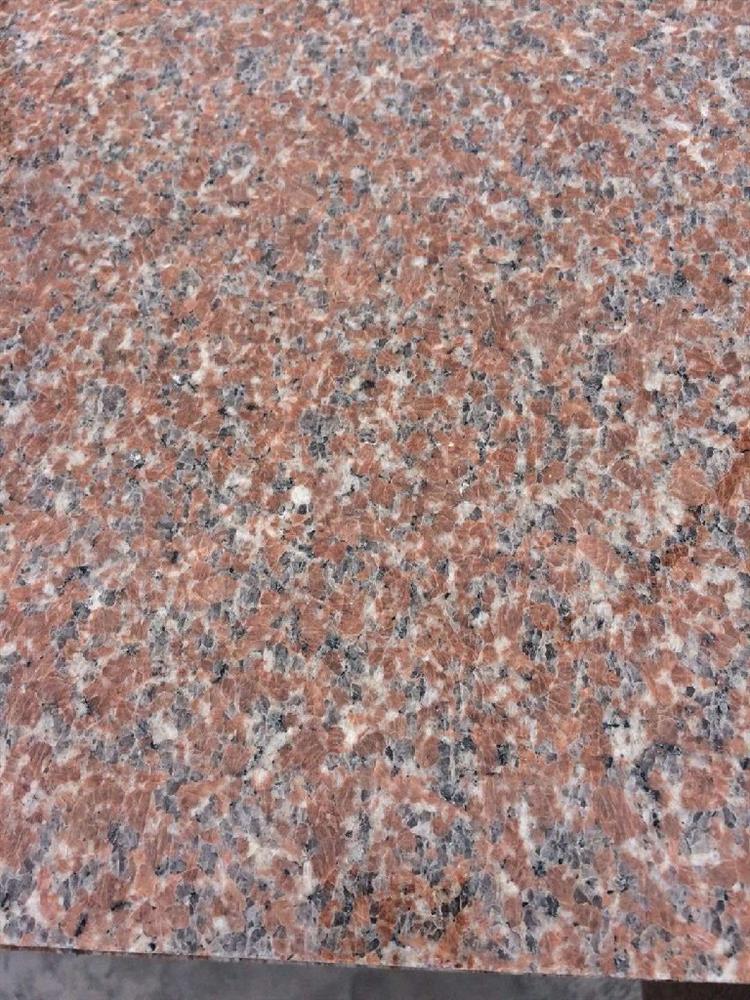 石岛红新八号-福建有为石业