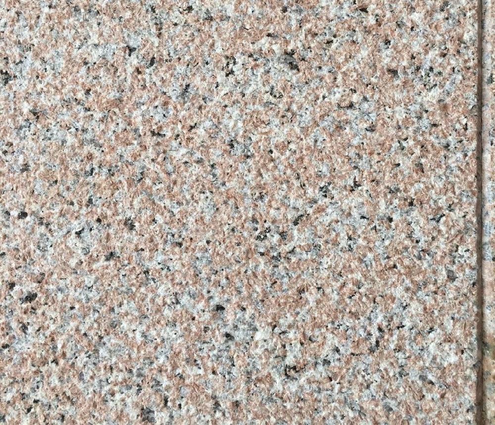 石岛红新八号-福建有为石业