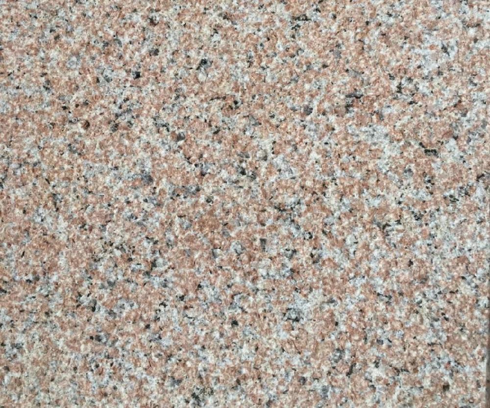 石岛红新八号-福建有为石业