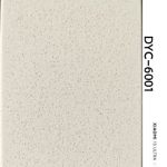 DYC-6001