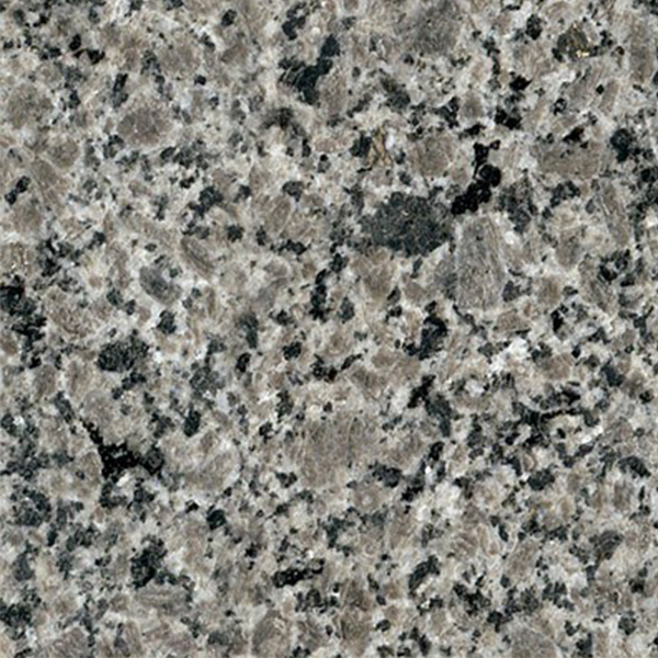 芝麻黑-蓝翔企业