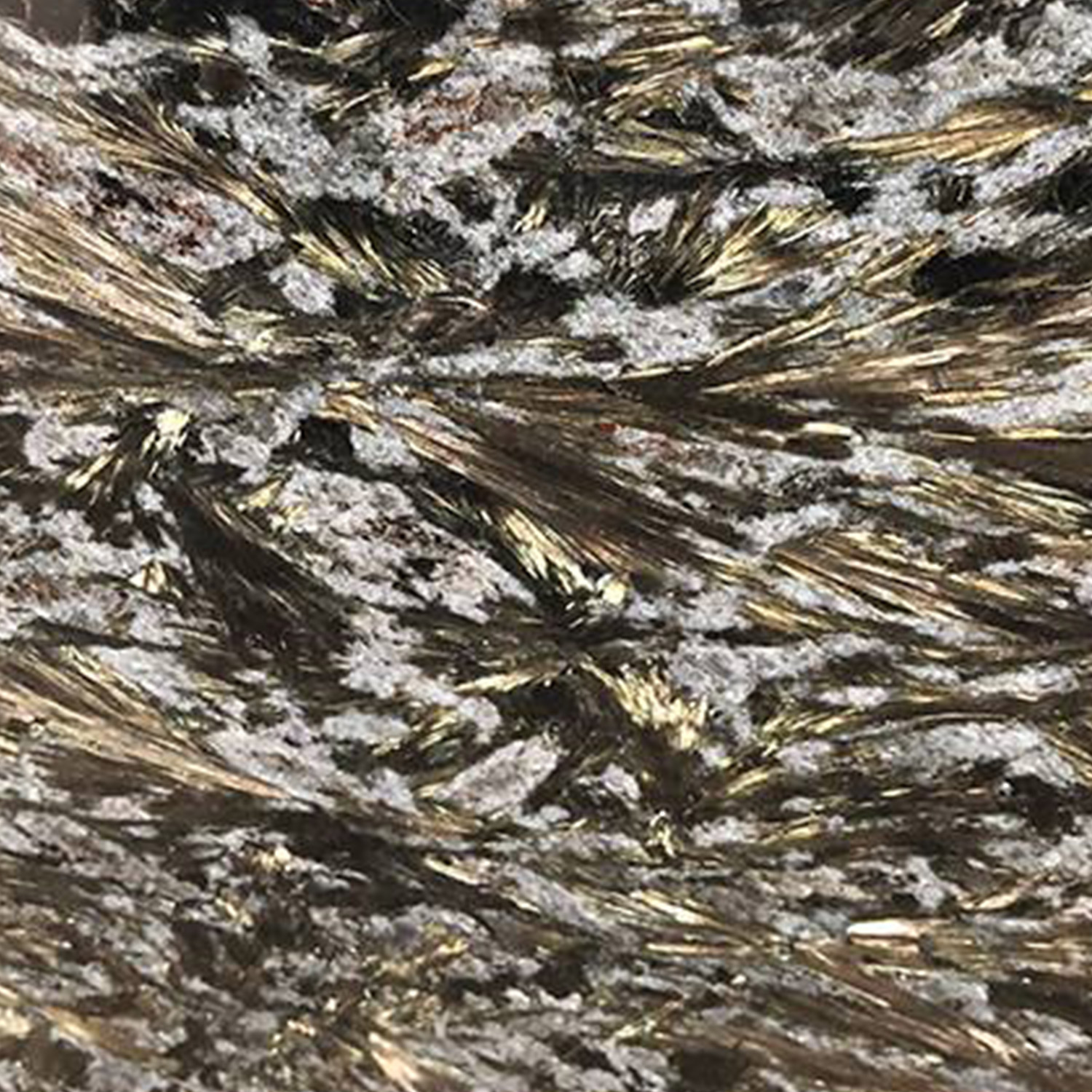 凤羽金钻-云浮市汇博石材