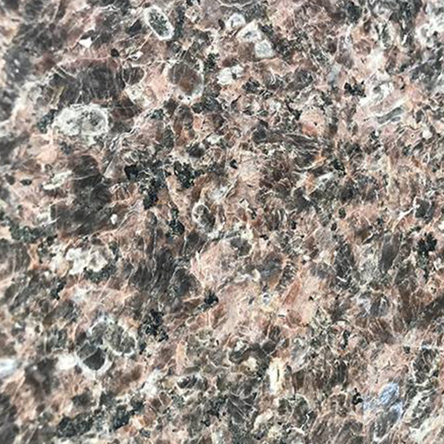 新棕钻-新疆鄯善定明石材有限公司