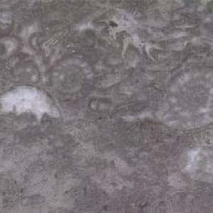 宏泰矿业-意大利海螺灰