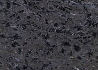 银钻咖啡-泰亨石材