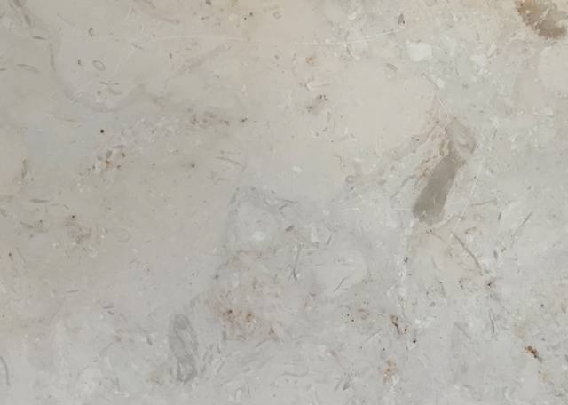 茉莉白-青岛赫尔斯国际贸易有限公司