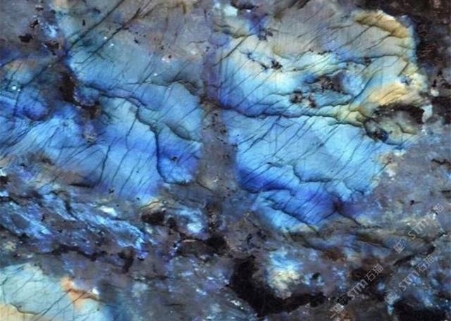 蓝翡翠-汤臣奢石