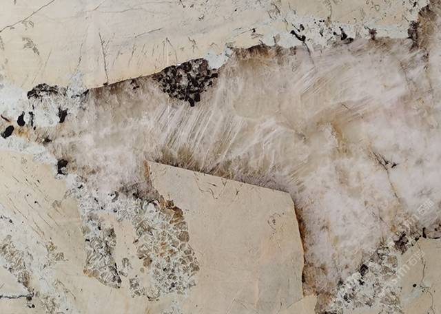 潘多拉-汤臣奢石