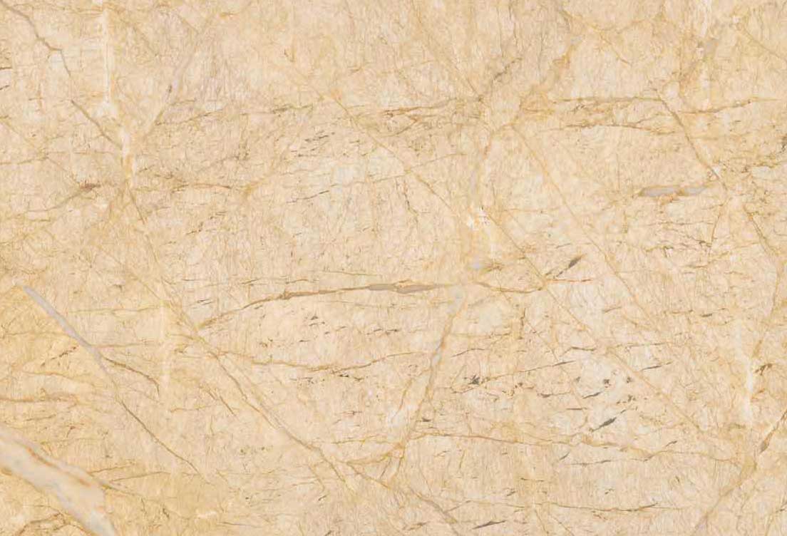 黄金蜘蛛-港华百年石材