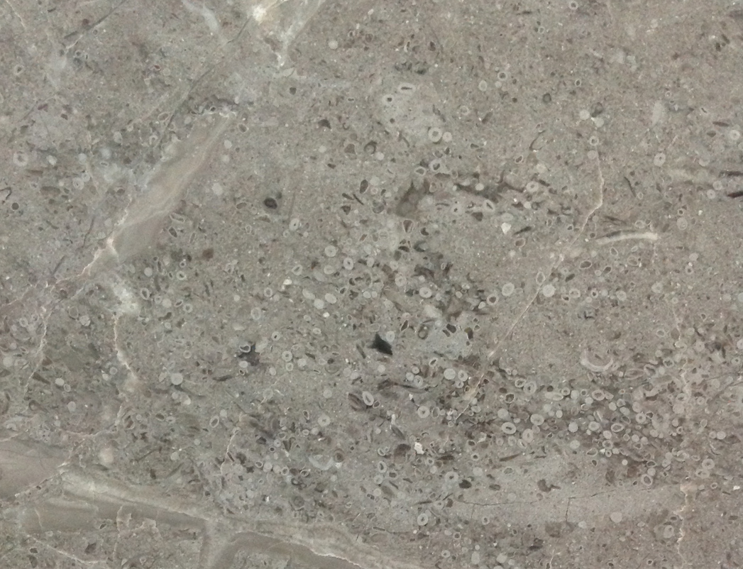 伊利洛灰-琥珀石业