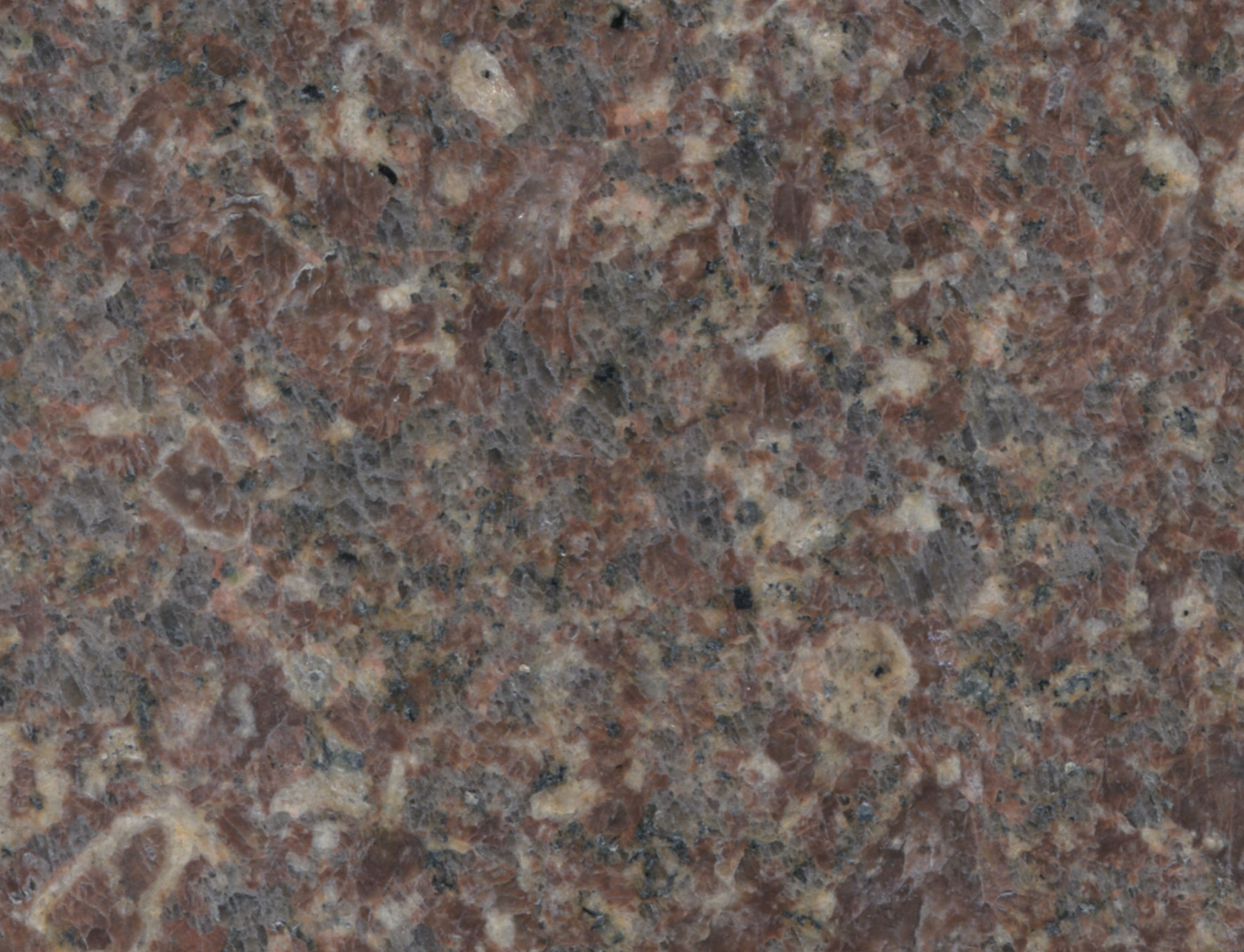 楼兰啡钻-狮子山石业