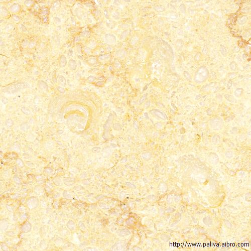 金碧辉煌-派丽·雅