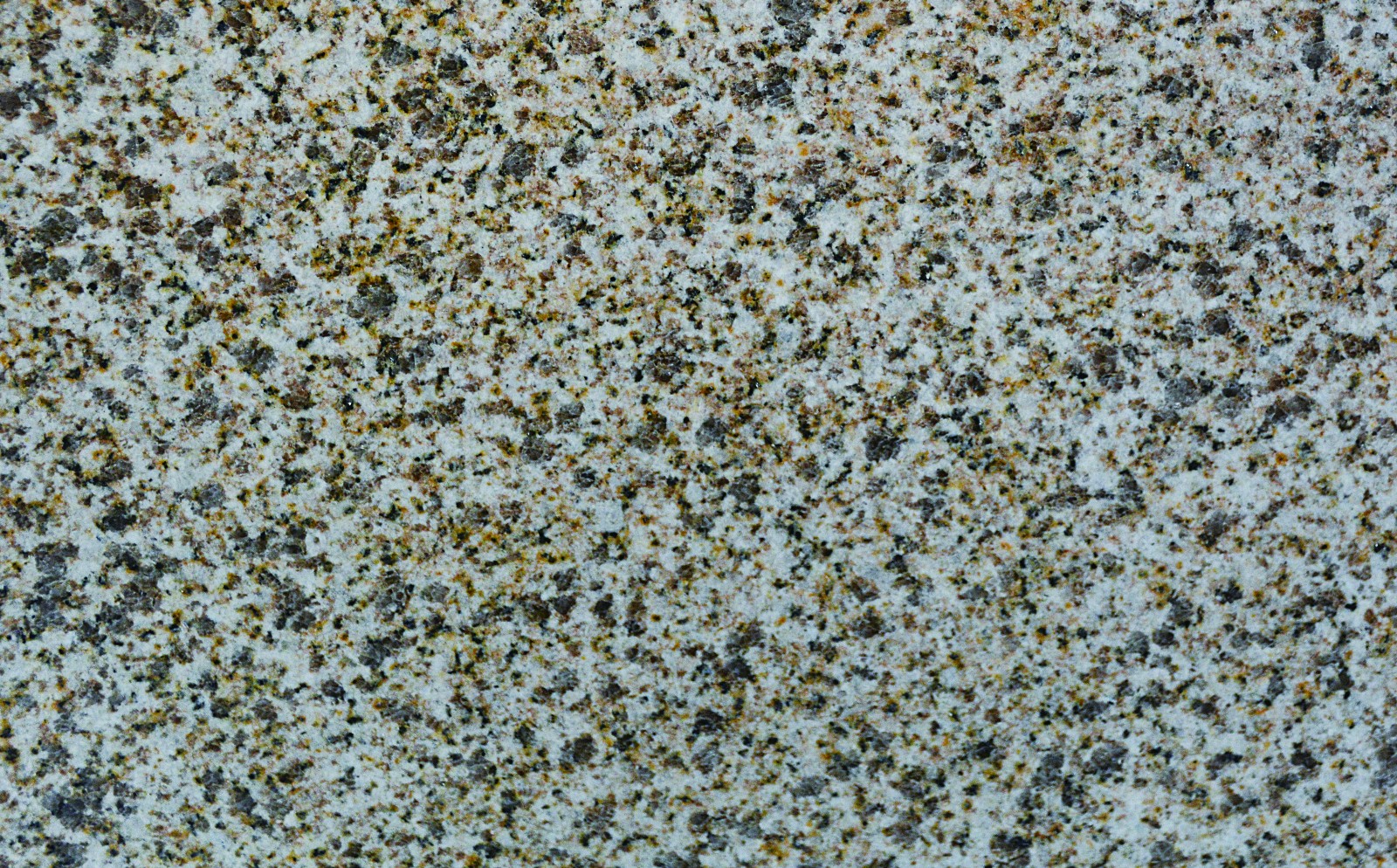 莱州黄金麻-莱州方正石材