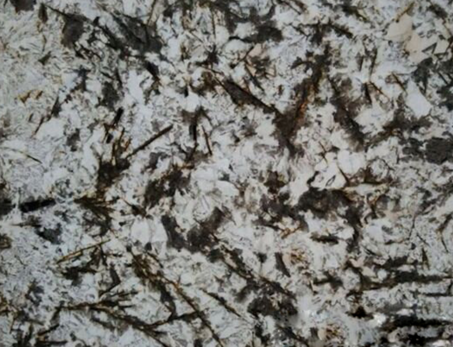 星光灿烂-均成—巴西展馆