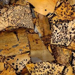 英良石材集团-草化石