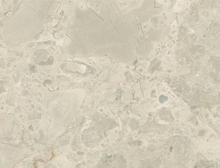 阿曼白玫瑰-佰石特进出口