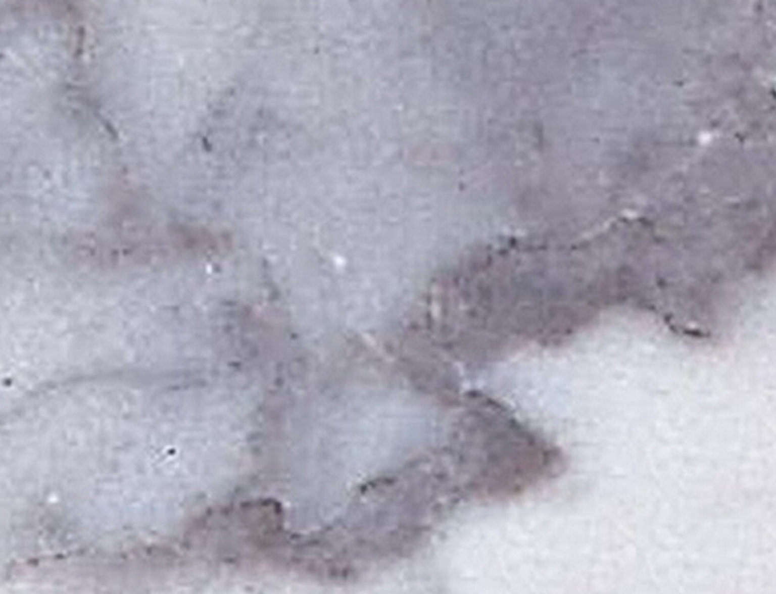 艾叶青-兴宏大理石