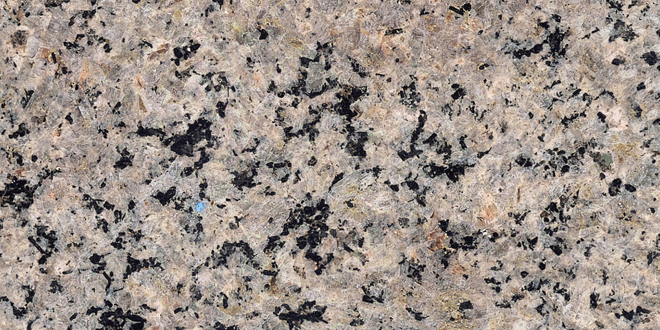 蓝眼睛-海丰-印度红