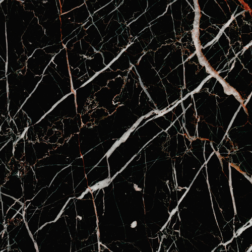 郁金香-天基矿业