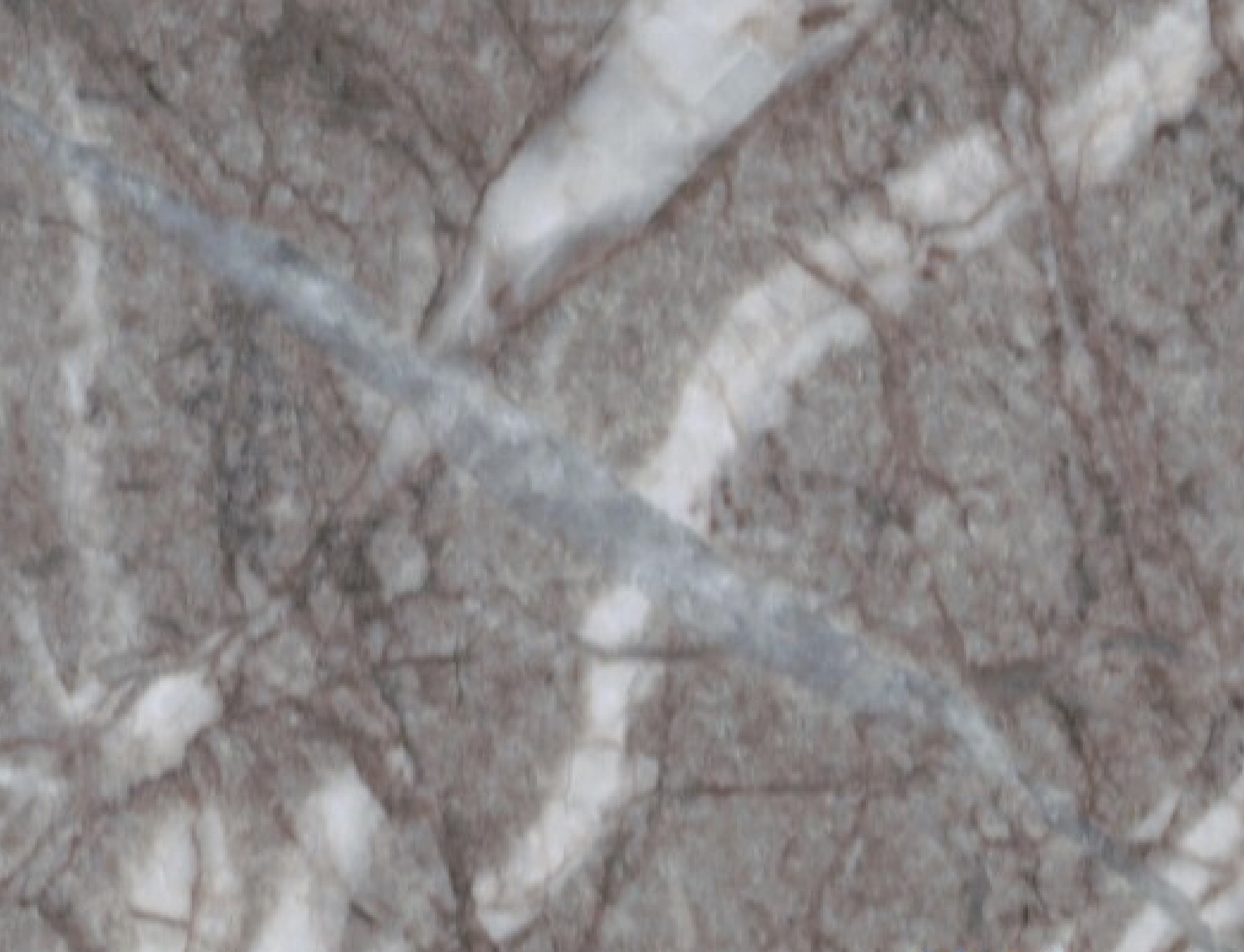 巴灰特-厦门航信实业有限公司