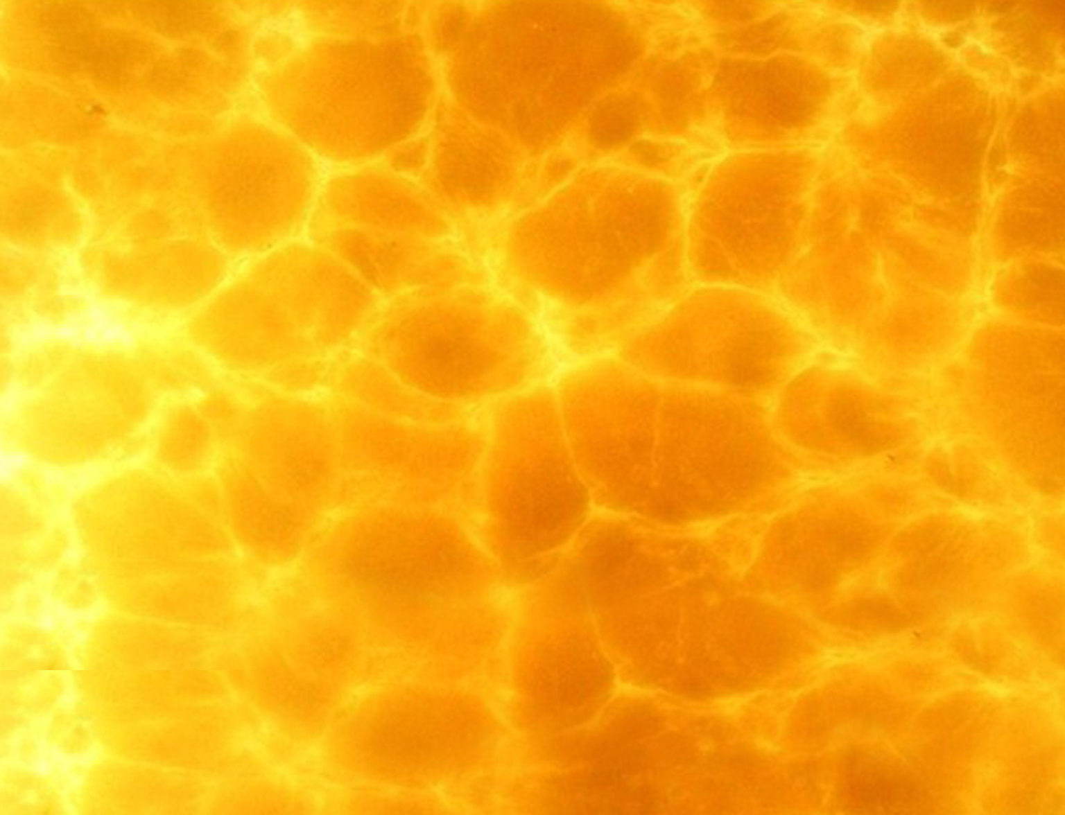 凤凰玉石-金凤凰装饰