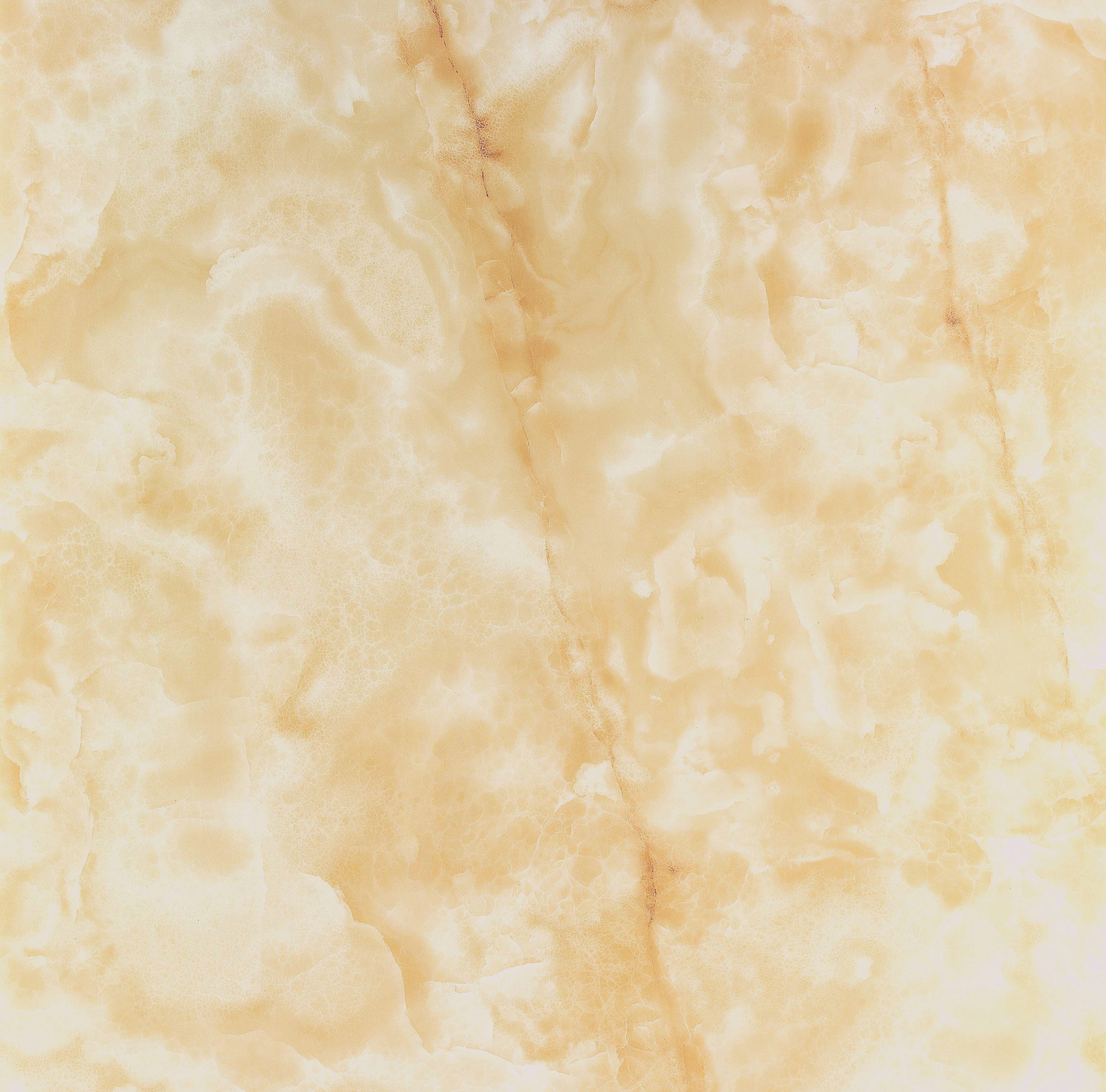 香槟玉-BEST公司