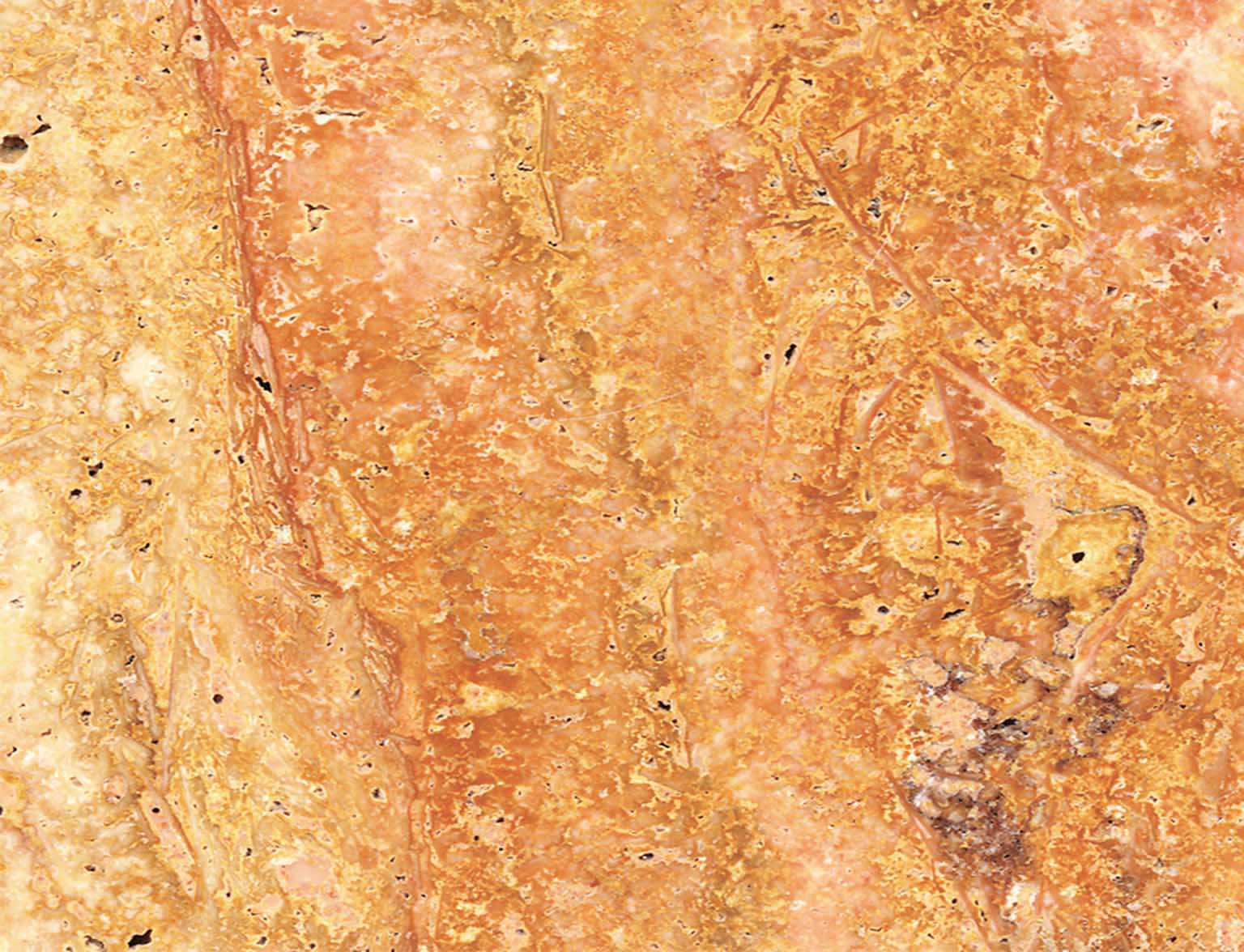 粉红洞石-宏祥源石业