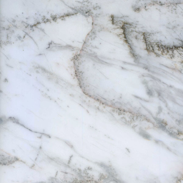 白蜘蛛-厦门迅发石材