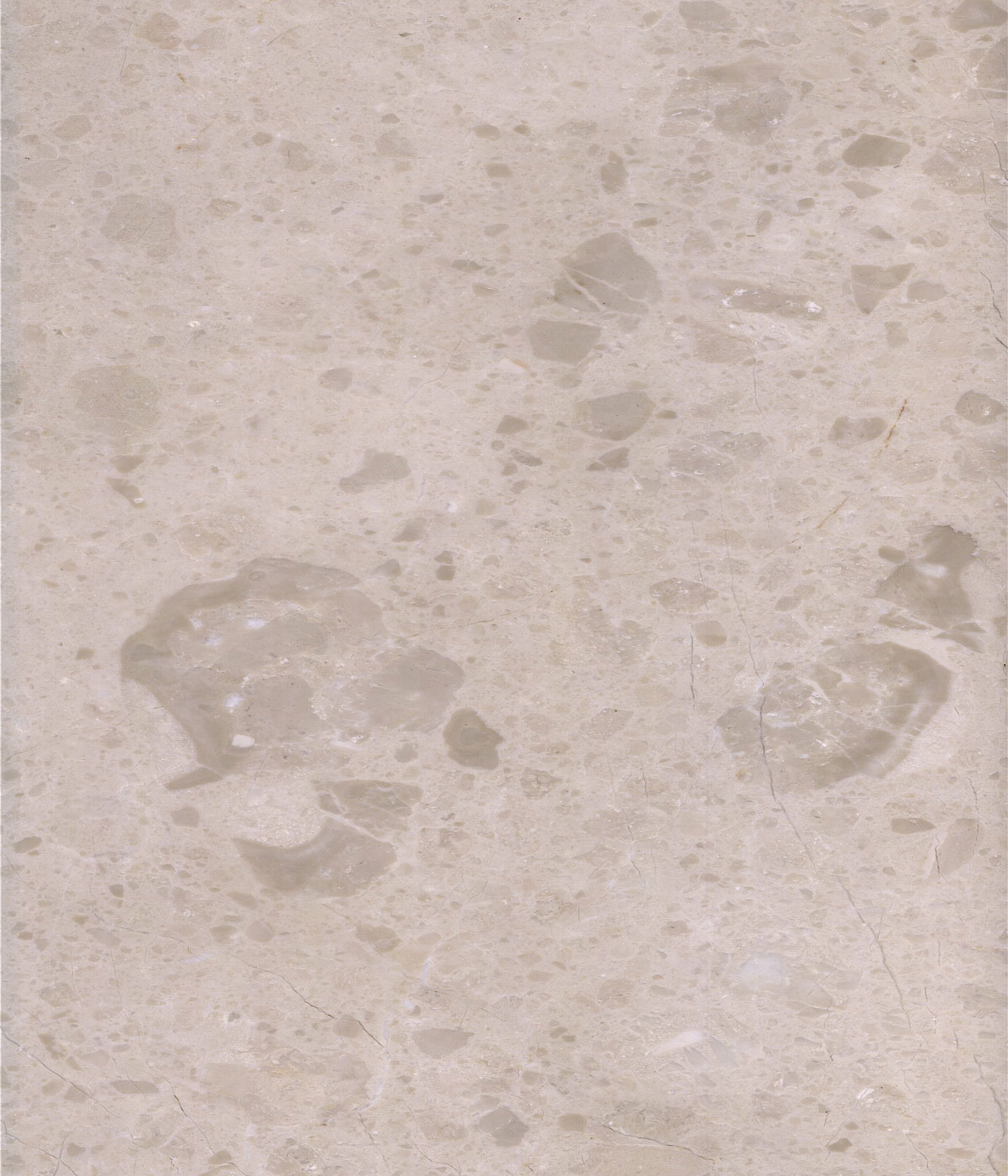 金芙蓉-上海灿昊石材有限公司