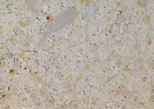 圣贾斯特-上海秋锻贸易有限公司