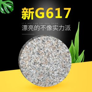 成龙石业-新G617