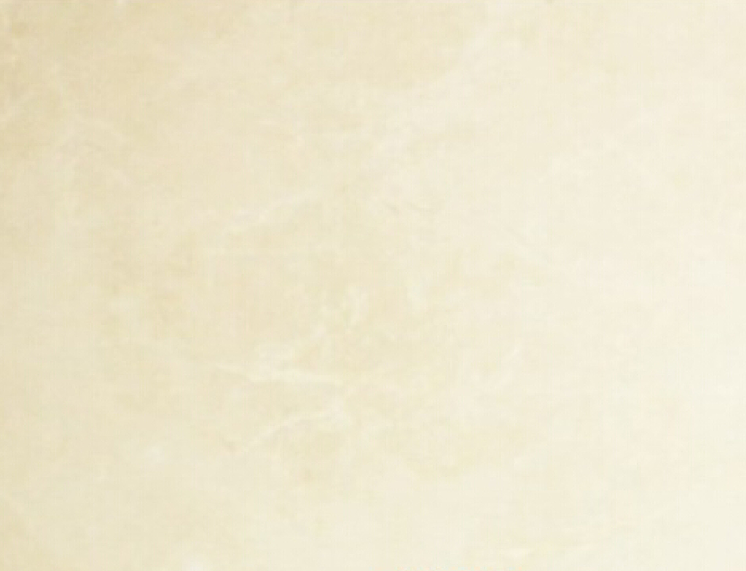 超级白玉兰-尚衡实业