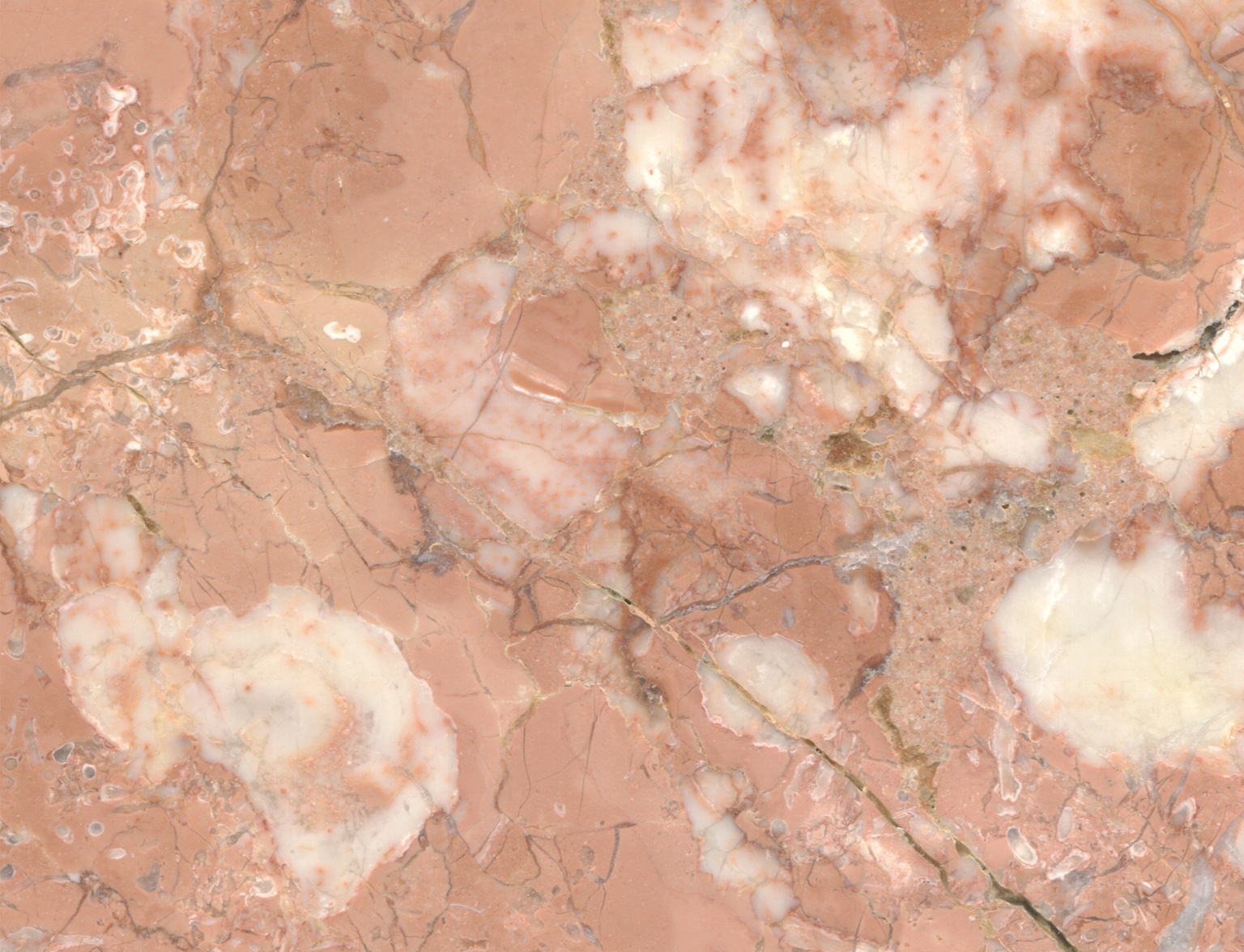 戴安娜玫瑰-云浮市信兴石业有限公司