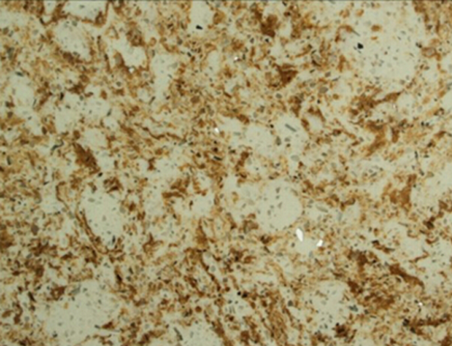 古典金麻-万达石材