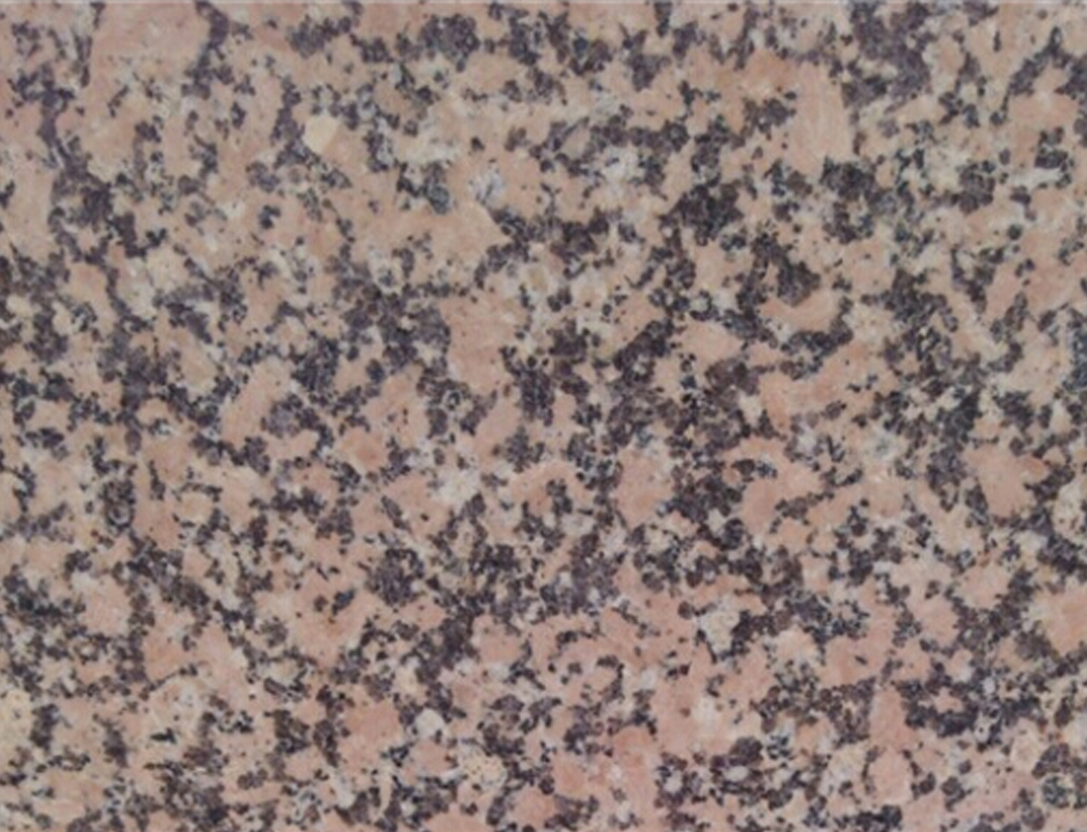 粉玫瑰-振谭矿业