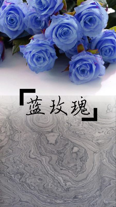 蓝玫瑰-豪源石材