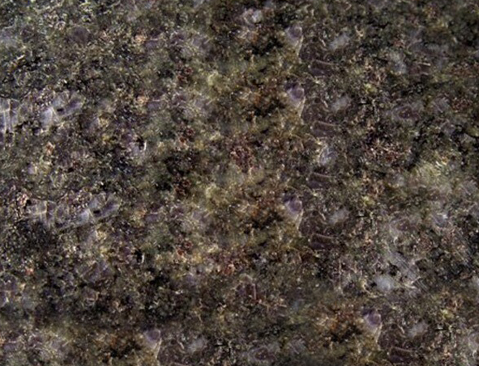 蝴紫玫瑰-天津津发石材