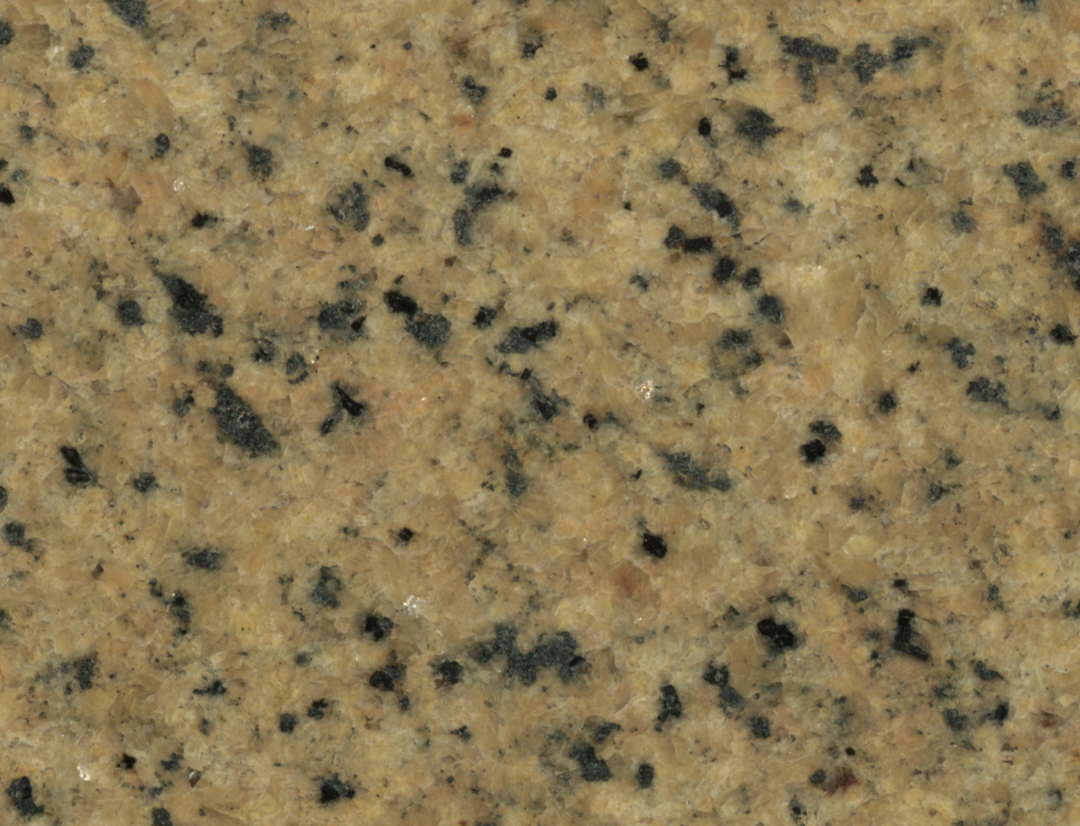 楼兰金钻-杨氏立兴石业